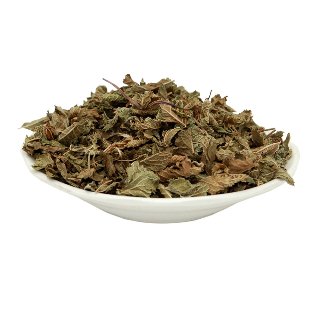 النعناع المغربي