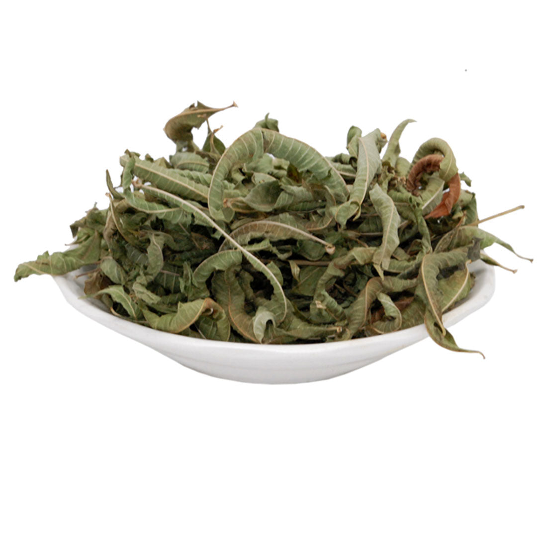 عشبة اللويزة المغربية