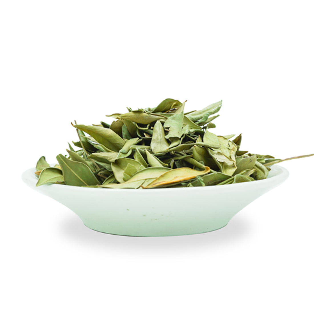 الريحان المغربي