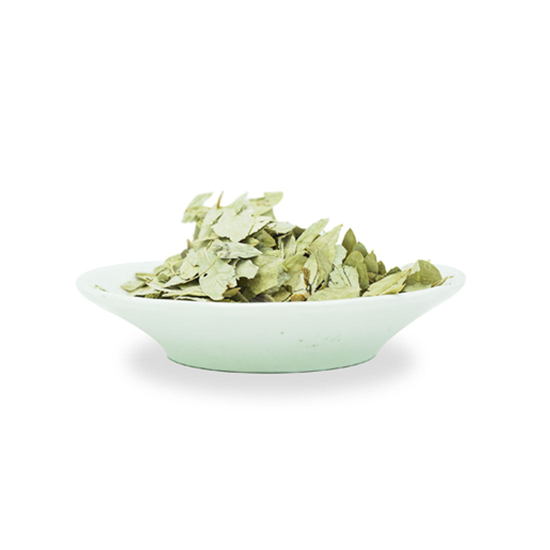 عشبة سنامكي