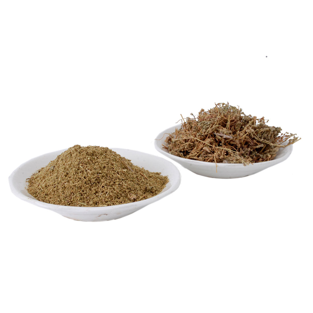 عشبة هراسة الحجر