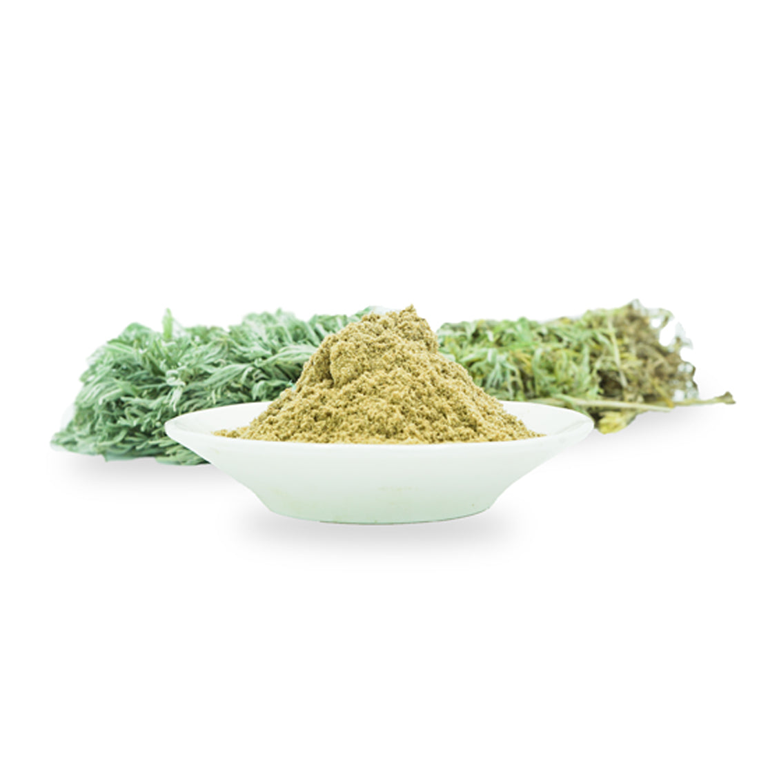 عشبة الشيبة المغربية