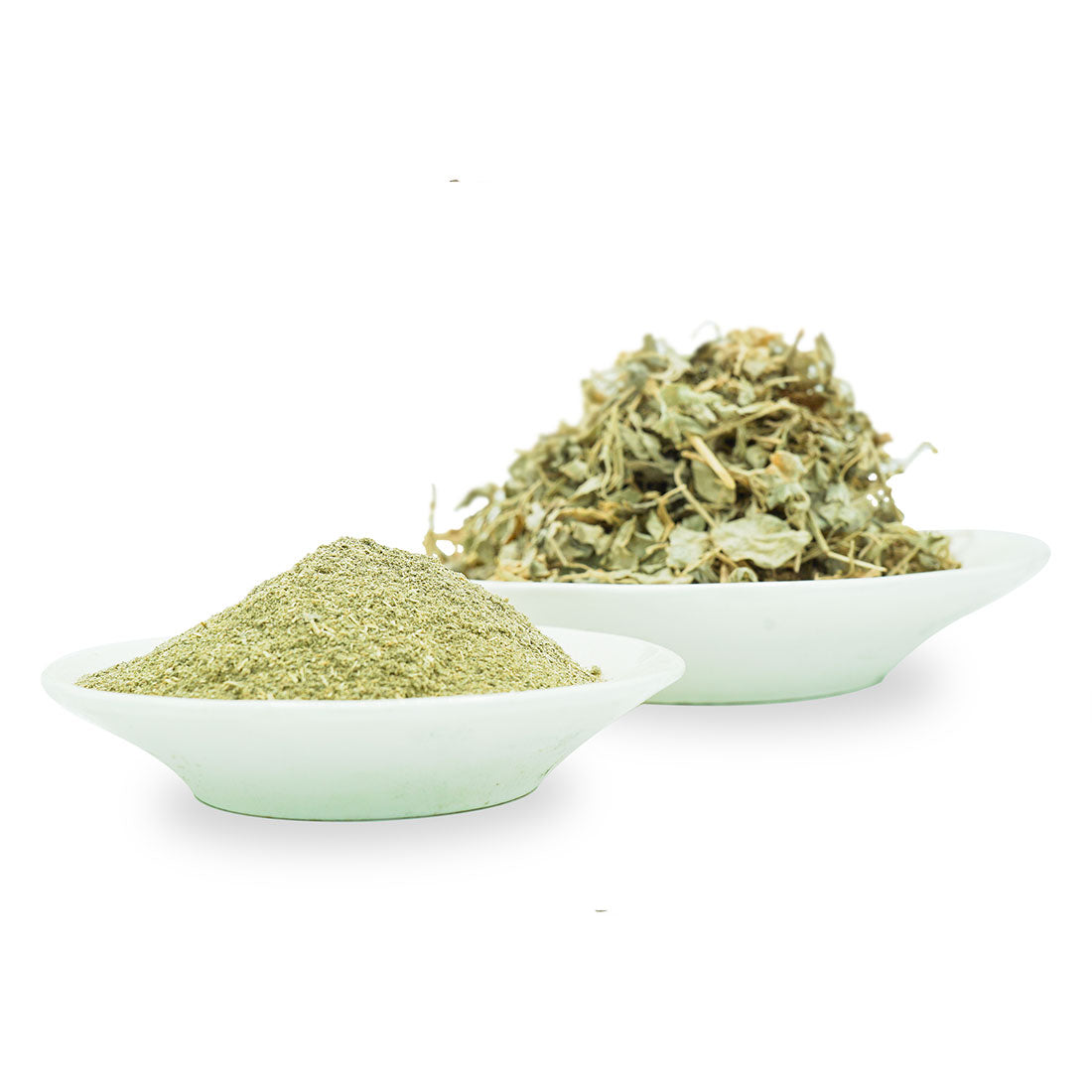 عشبة القطف المالح