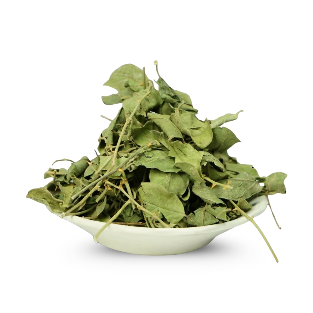 أوراق نبتة القبار