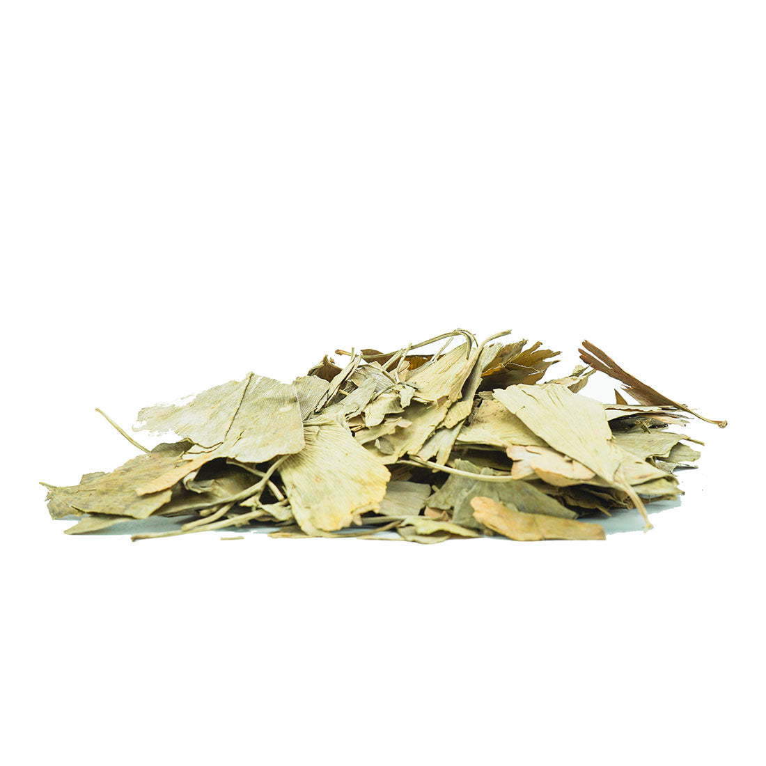 عشبة جينكو بيلوبا