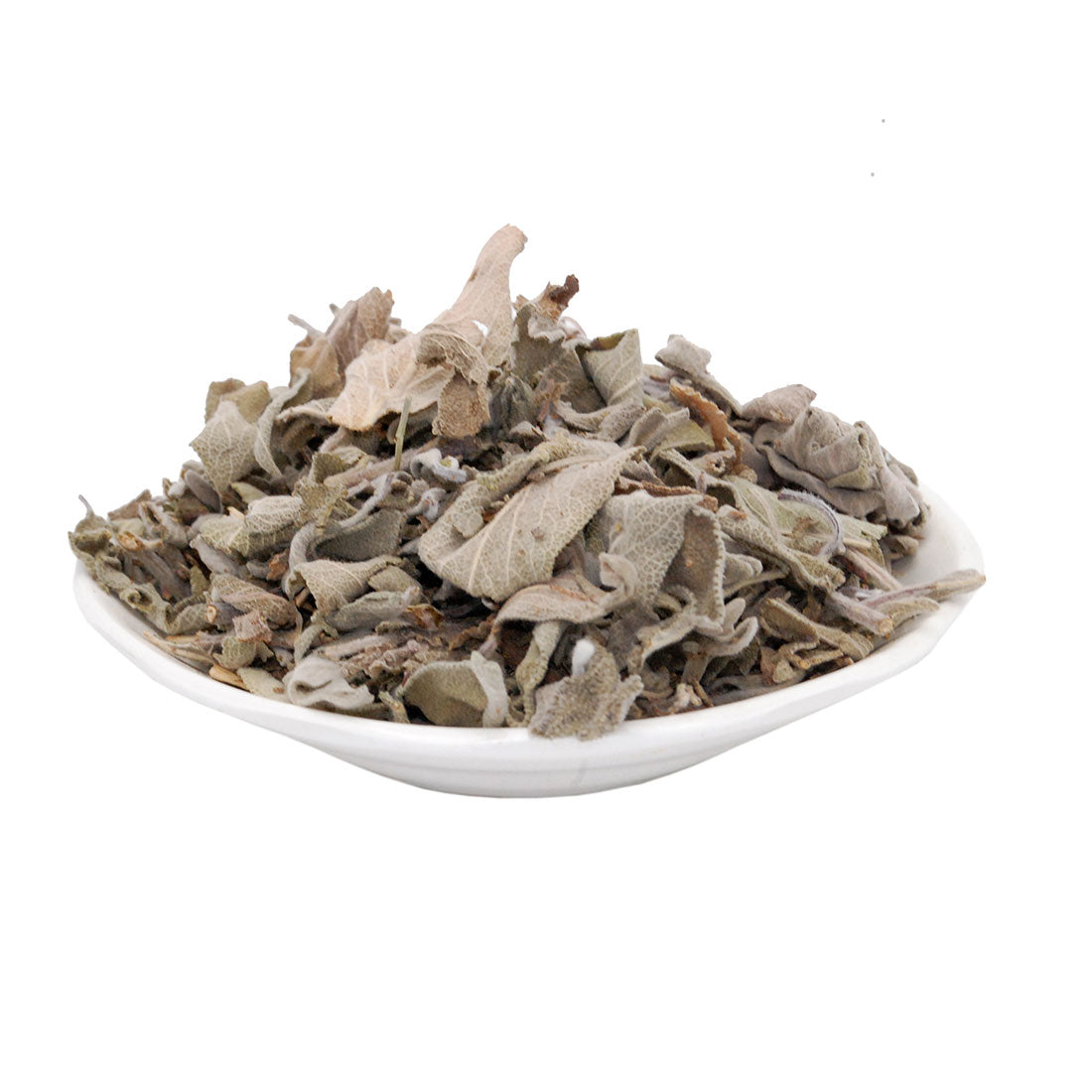 السالمية المغربية