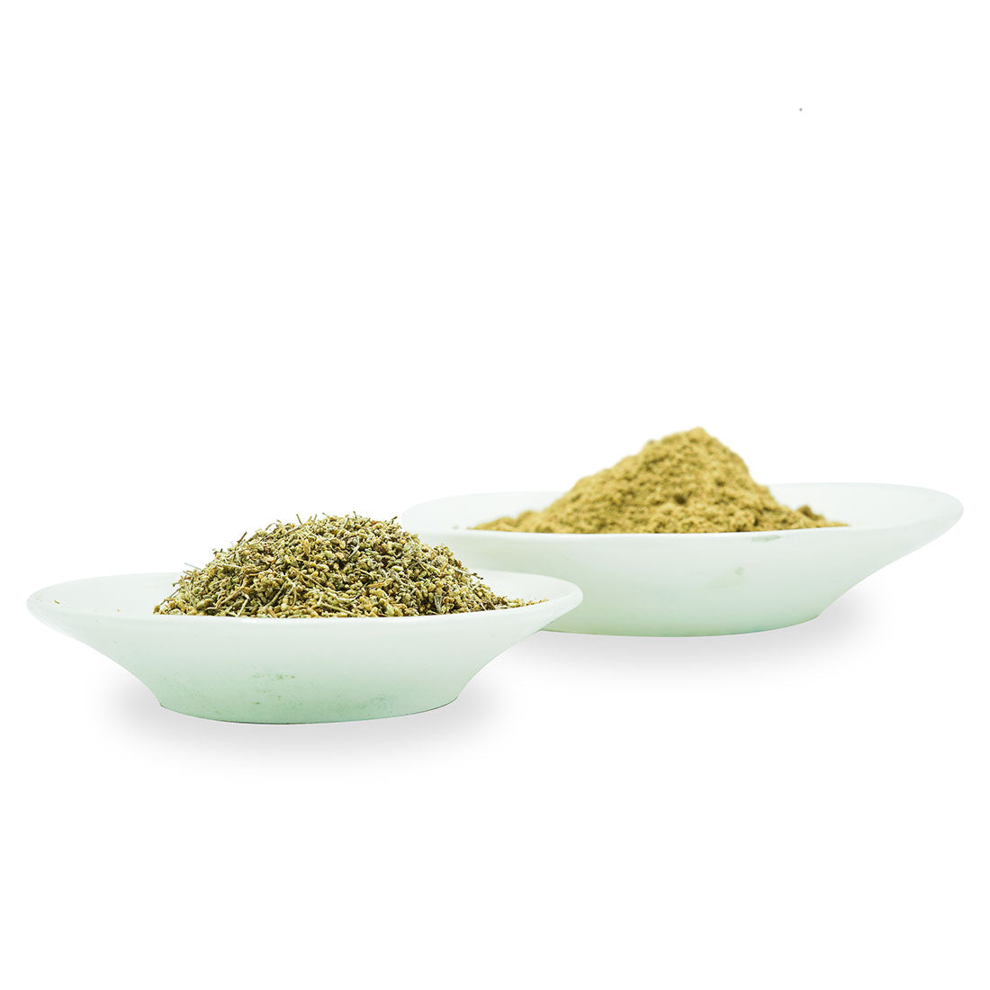 الشيح المغربي