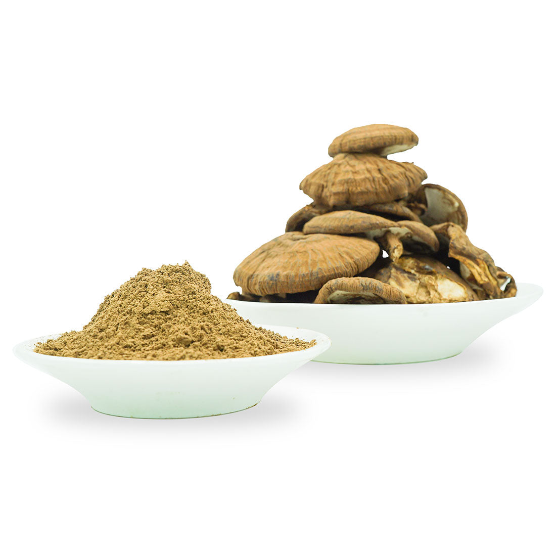 عشبة الفطر الريشي - الجانوديرما