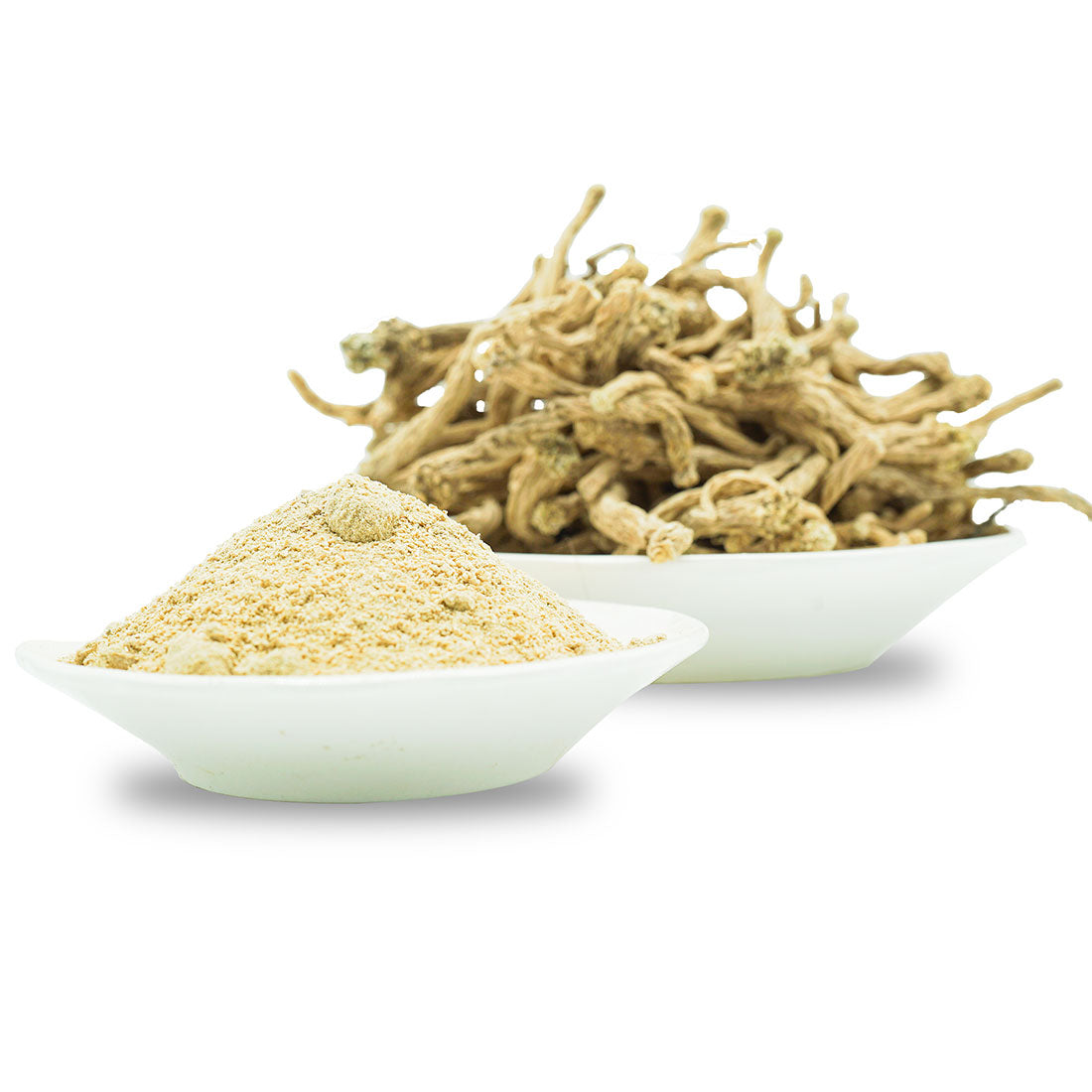 عشبة سرغينة