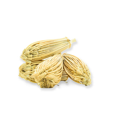 عشبة بشنيخة