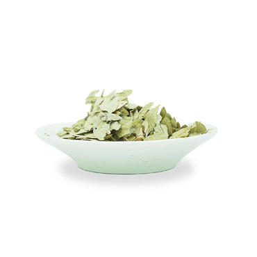 عشبة سنامكي