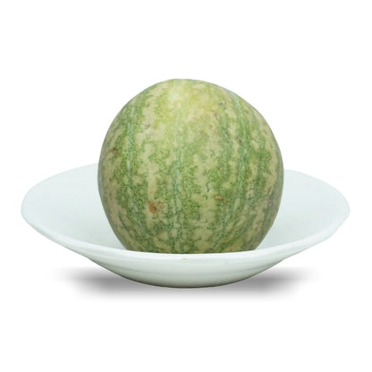 نبات الحنظل