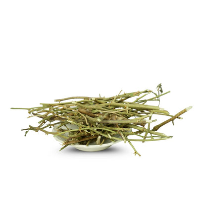 أغصان القبار