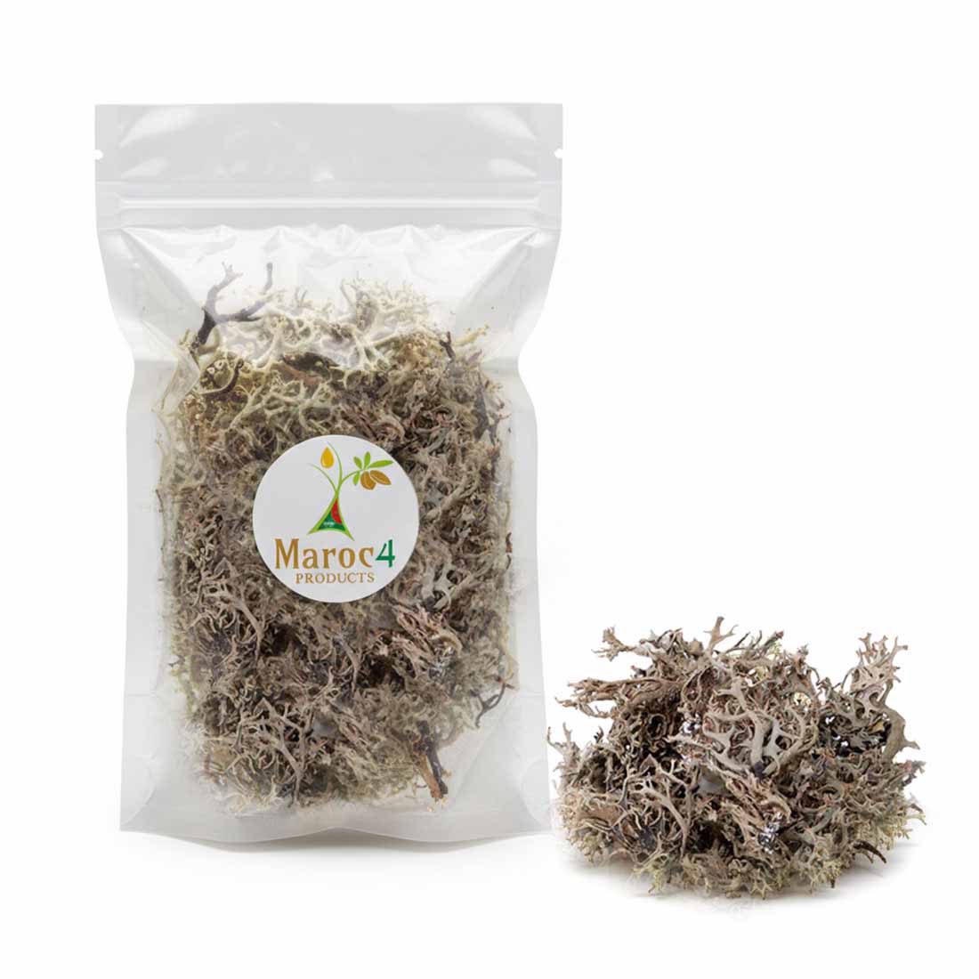 عشبة شيخ الربيع - غير مطحونة