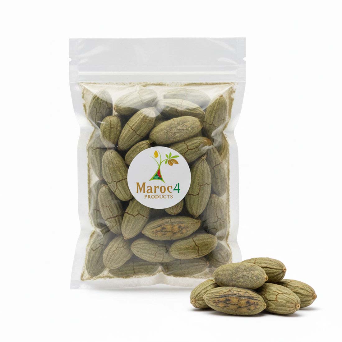 عود الصليب المغربي