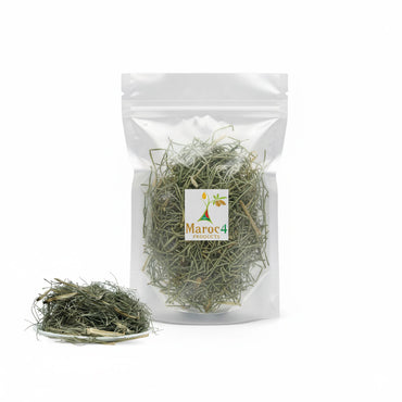 عشبة ذيل الحصان - غير مطحونة